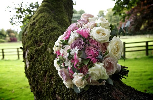 букет невест