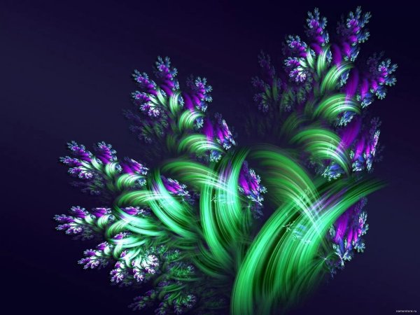 цветок абстракция