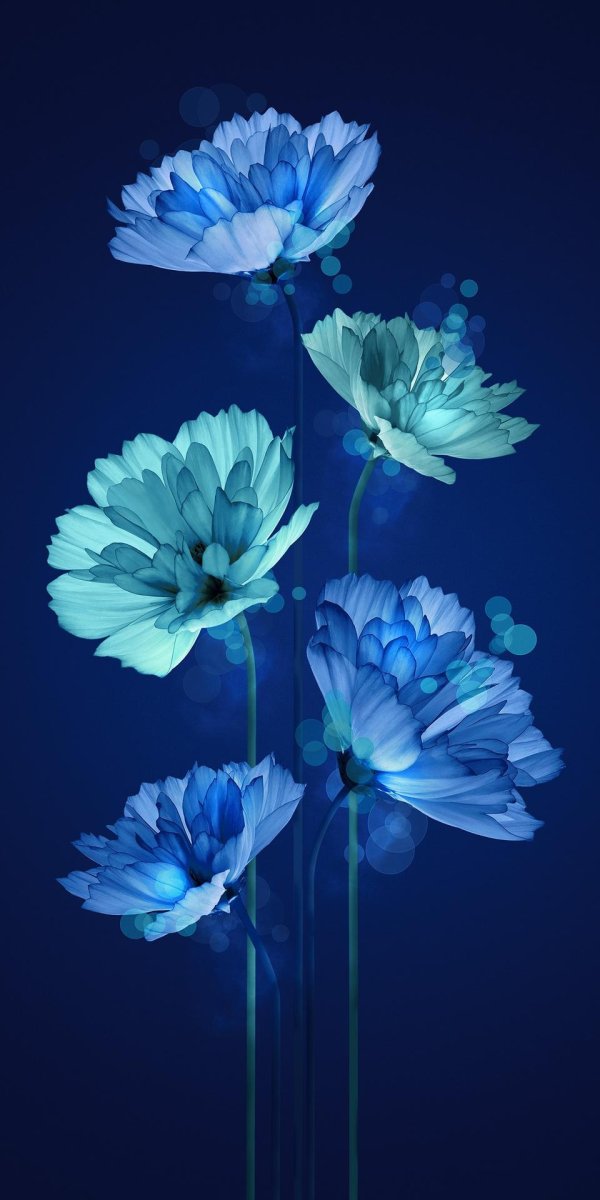 cиний цветок