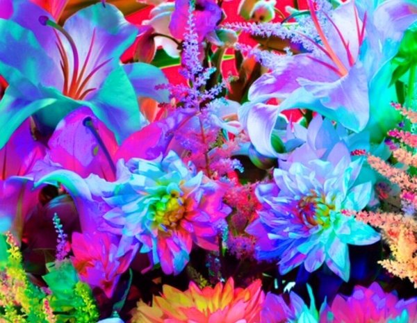 чудесные цветы