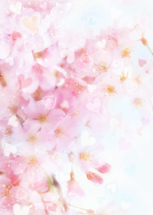 цветочные фоны