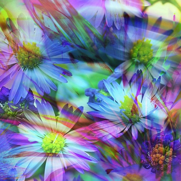 абстракция цветов