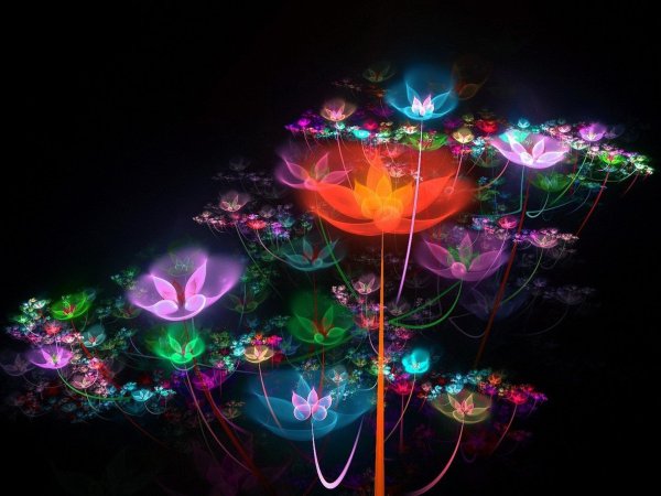 светящиеся цветы