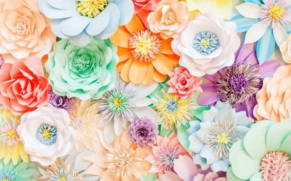 цветочные фоны