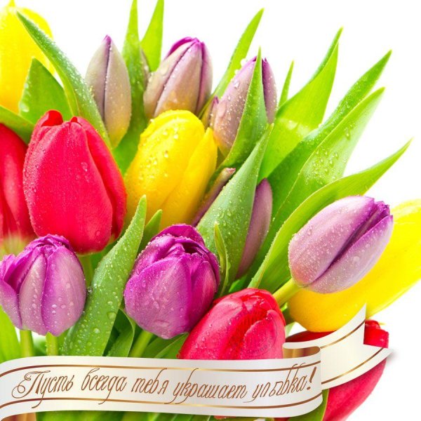 тюльпаны баннер