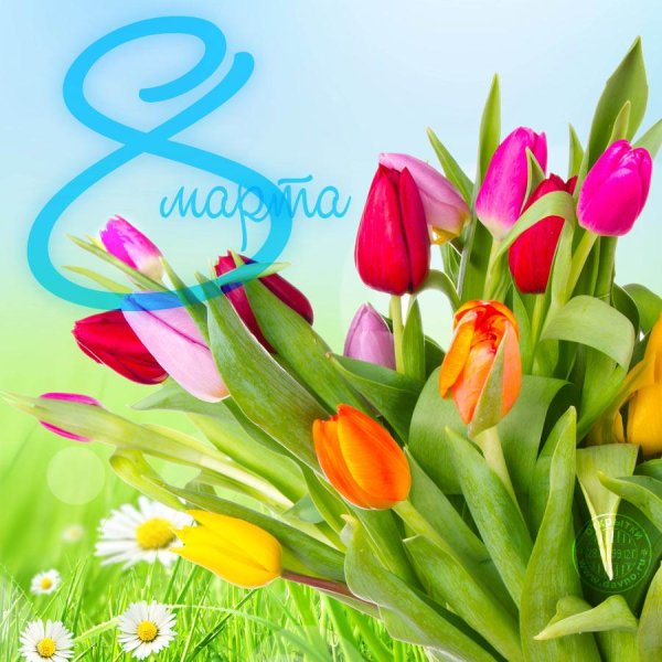 баннер 8 марта