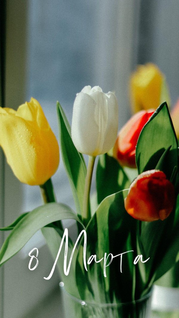 букет тюльпан