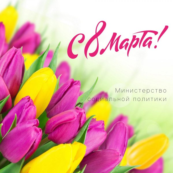 фон с тюльпанами