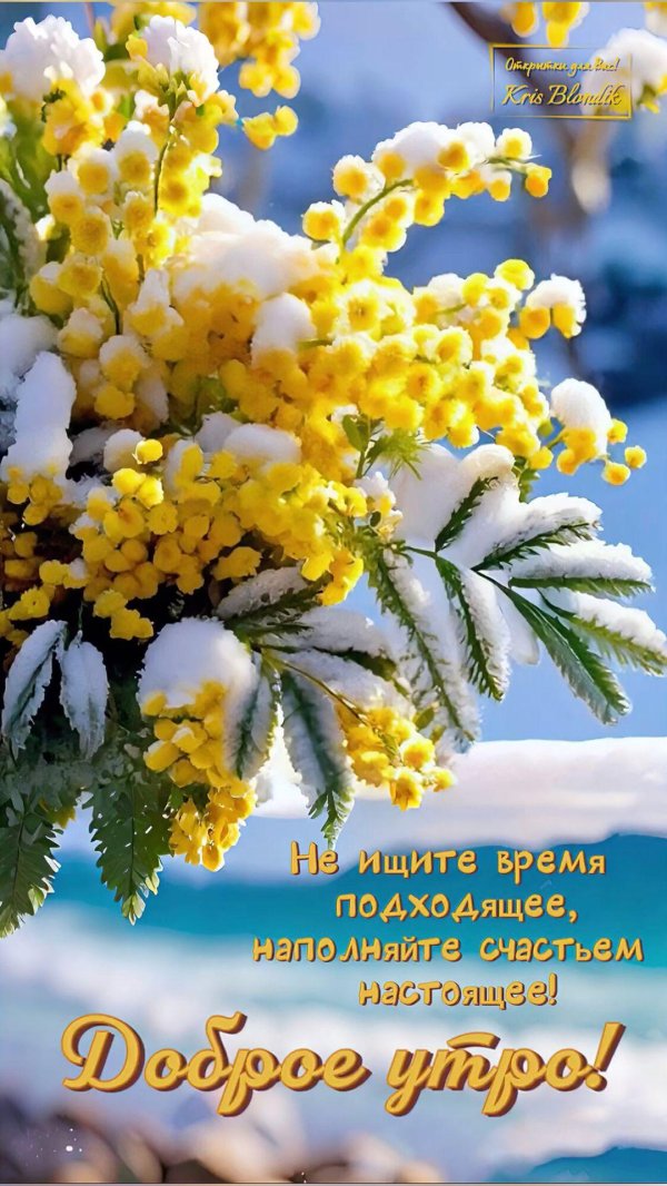 доброго мартовского утра