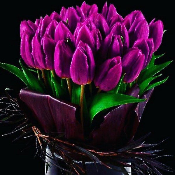 международный день тюльпанов