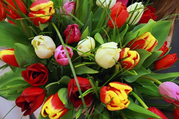 шикарный букет тюльпанов