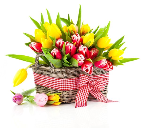 тюльпаны в корзинке