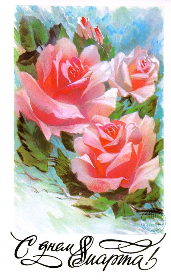 открытка с розами