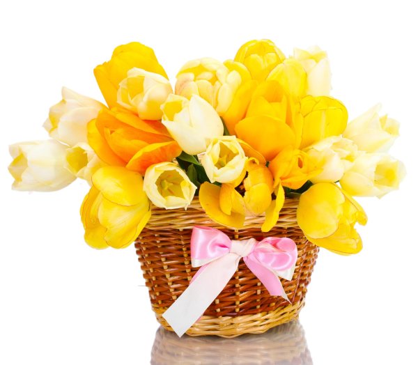 желтые тюльпаны