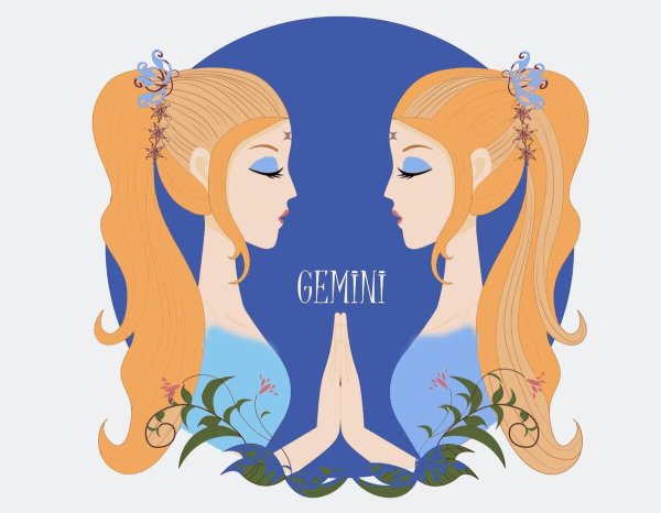 близнецы женщина