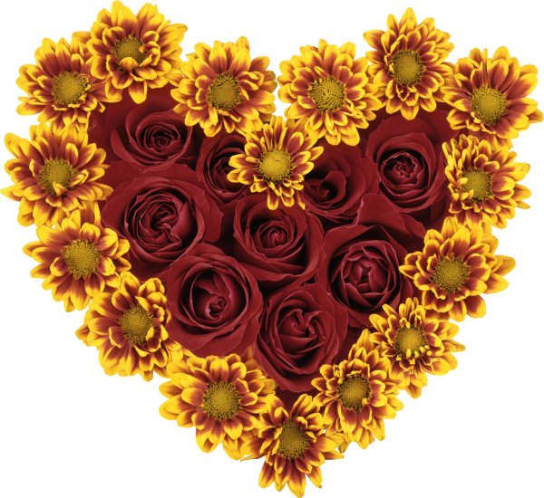 Сердце из цветов