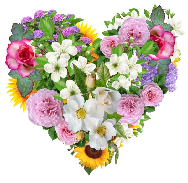 Сердце из цветов