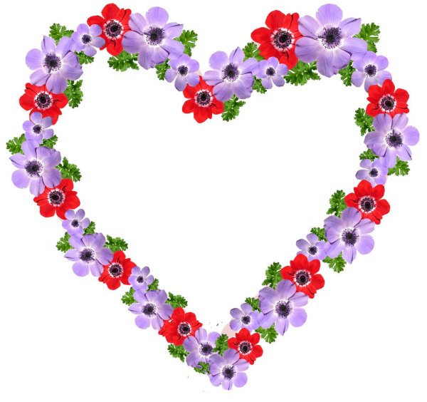 Сердце из цветов