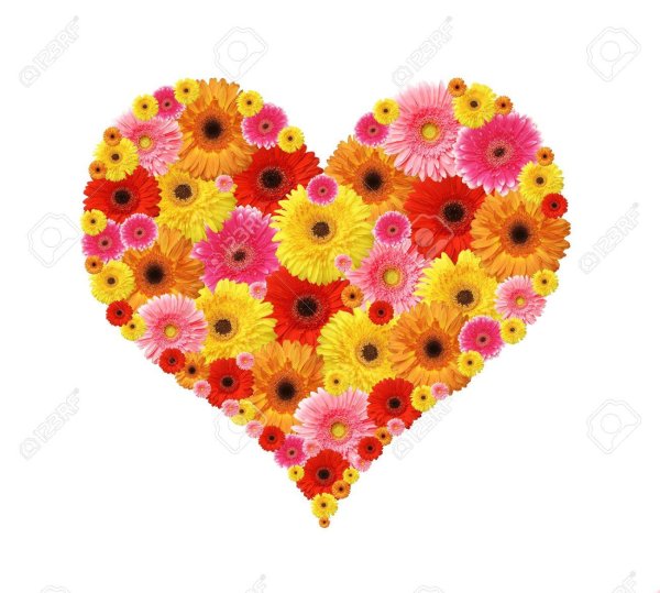 Сердце из цветов