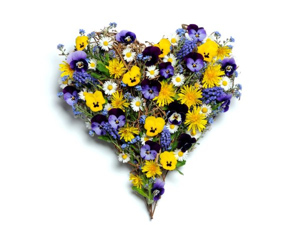 Сердце из цветов