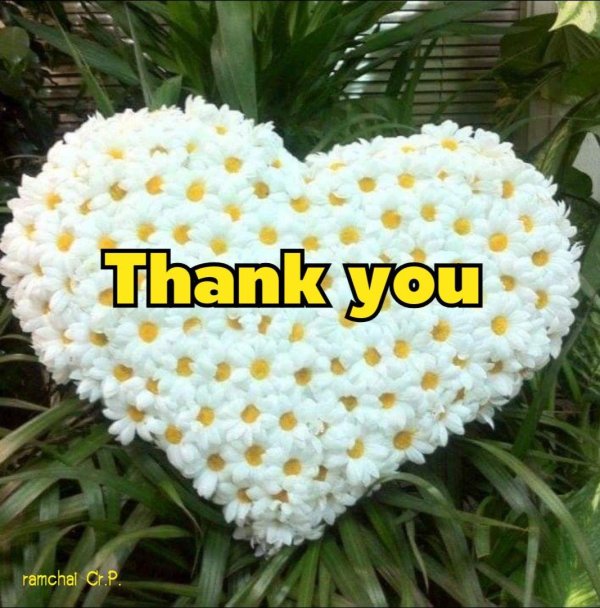 Сердце из цветов