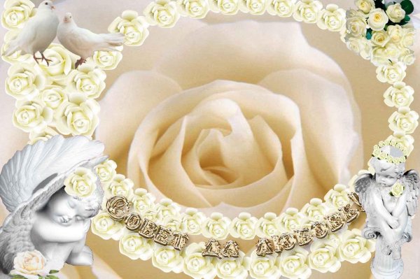 С жемчужной свадьбой