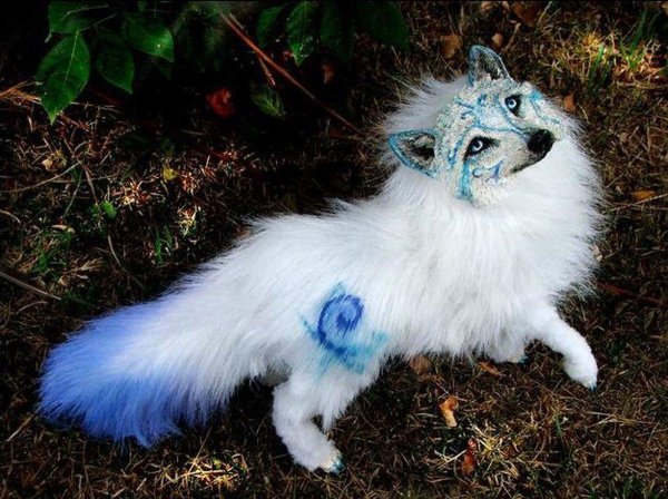 Самые животные мира