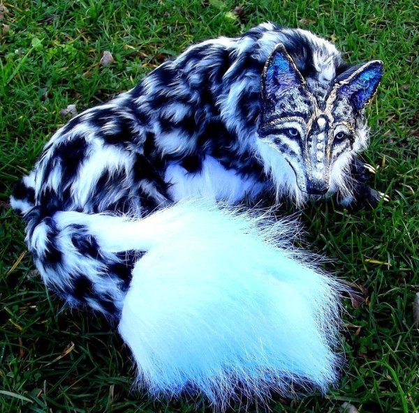 Самые животные мира