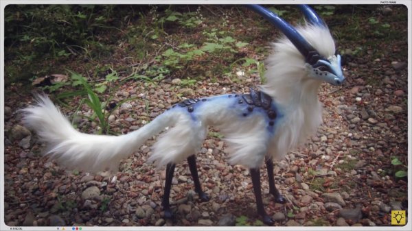 Самые животные мира