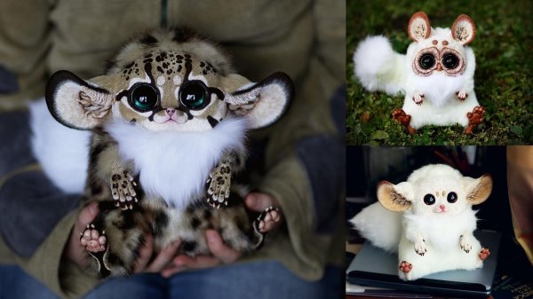 Самые животные мира