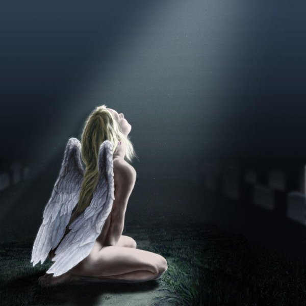 На аватарку ангелы