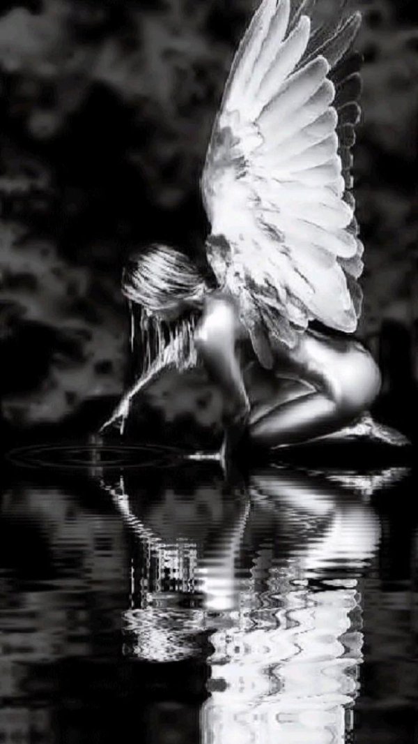 На аватарку ангелы