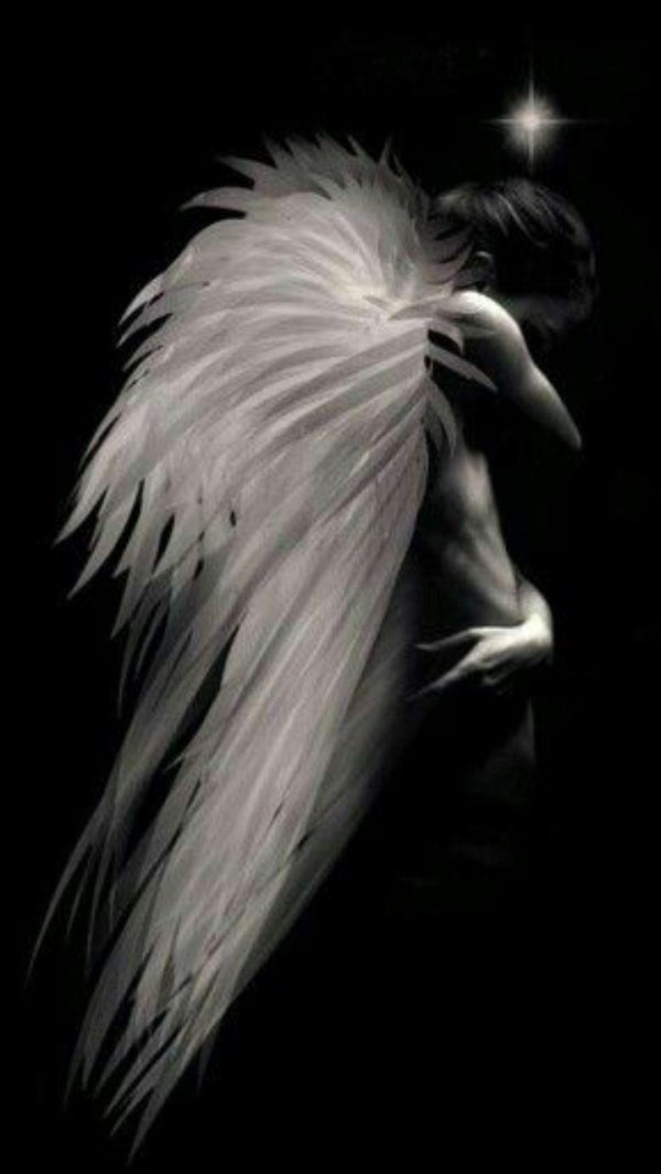 На аватарку ангелы