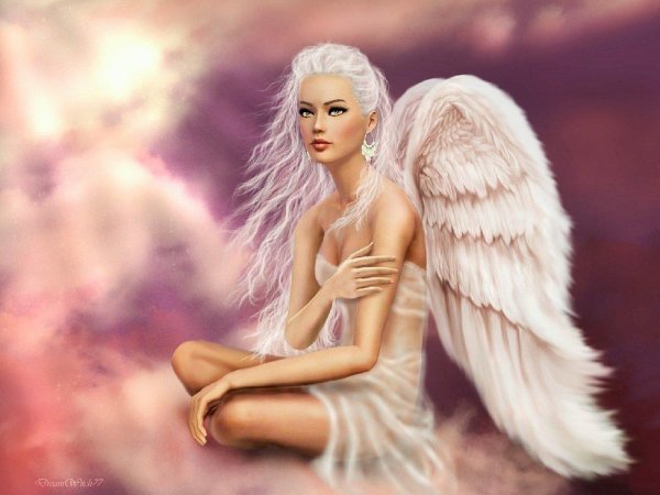 На аватарку ангелы