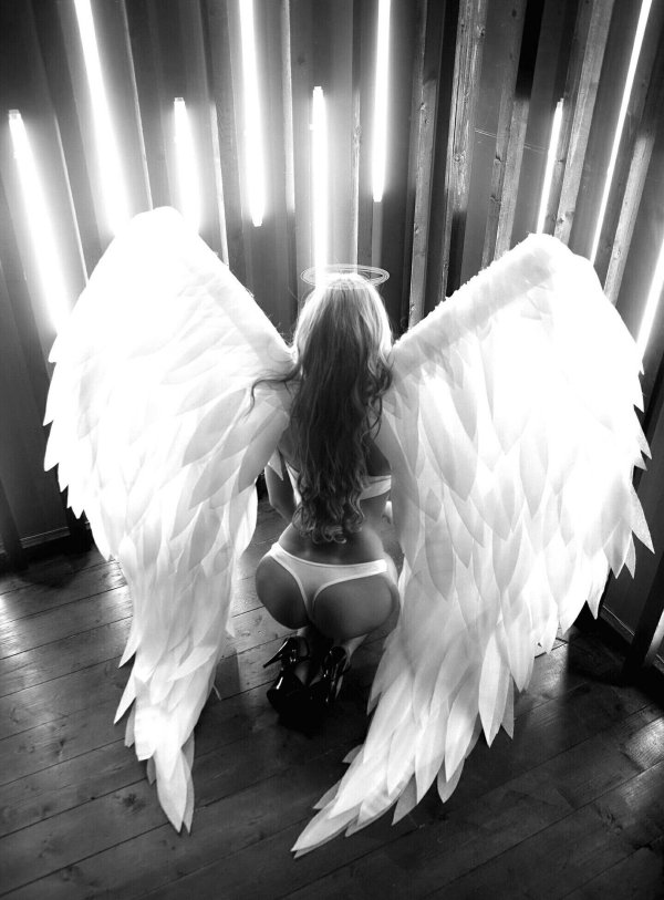 На аватарку ангелы