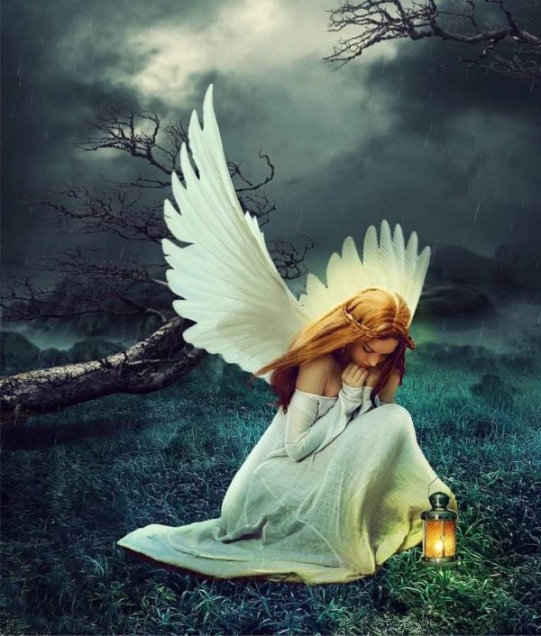 На аватарку ангелы