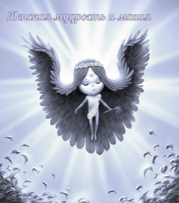 На аватарку ангелы
