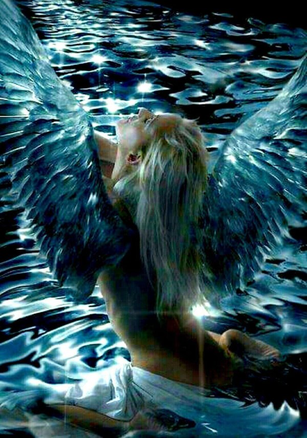 На аватарку ангелы