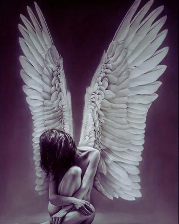 На аватарку ангелы