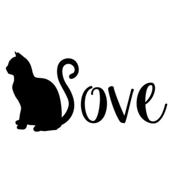 С котиками с надписями