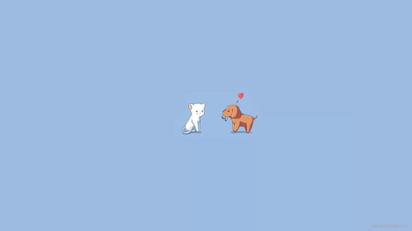 С котиками с надписями