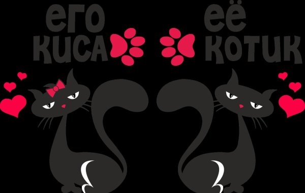 С котиками с надписями