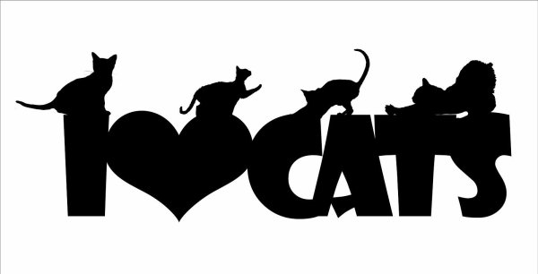 С котиками с надписями