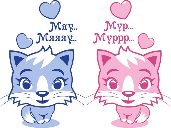 С котиками с надписями