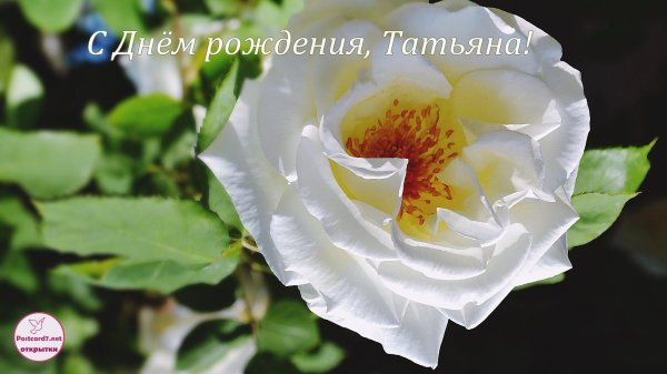 День рождения таня поздравления