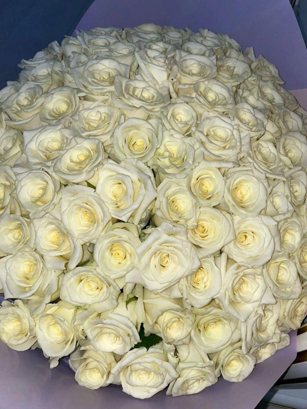 Белые розы букеты большие