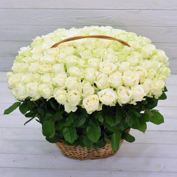 Белые розы букеты большие