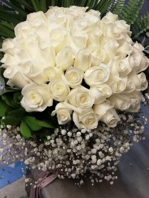 Белые розы букеты большие