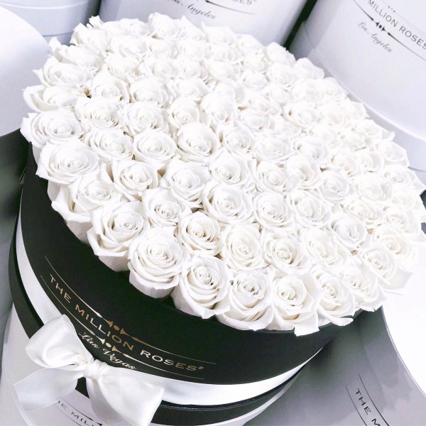 Белые розы букеты большие