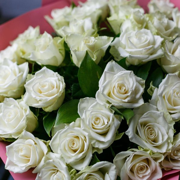 Белые розы букеты большие